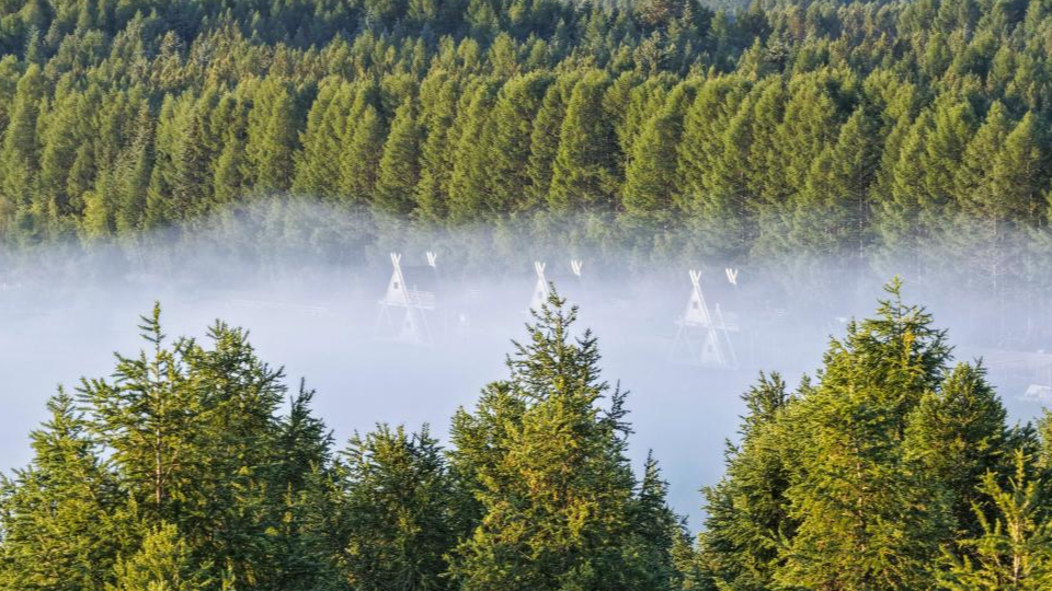 新華鮮報 | 春已至！“植”綠山河