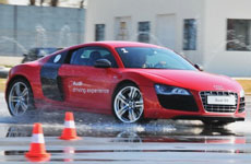 教你怎樣Hold住525匹馬力