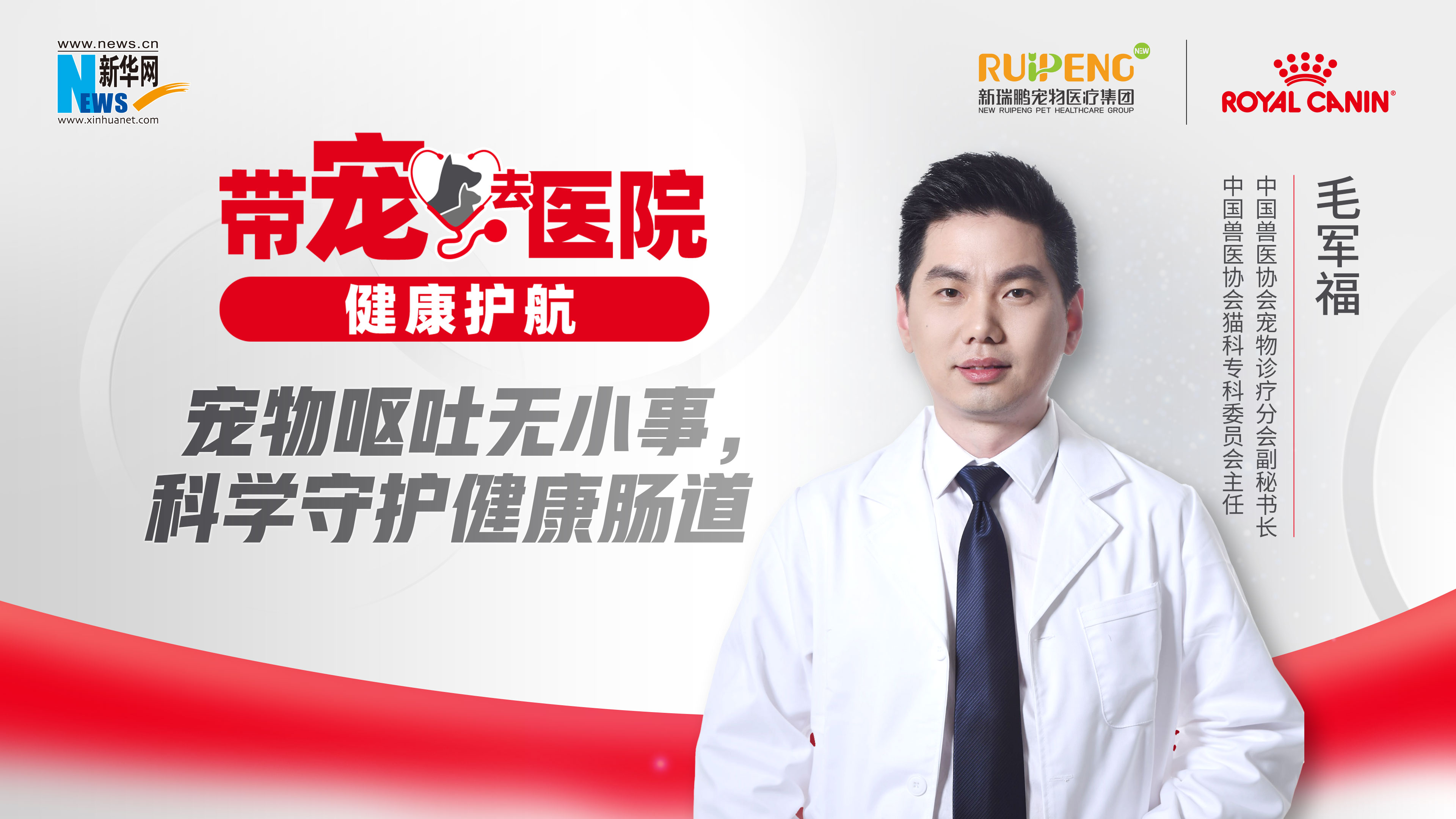 帶寵去醫(yī)院 健康護(hù)航｜寵物嘔吐無小事，科學(xué)守護(hù)健康腸道！