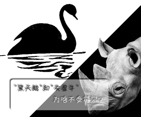 "黑天鵝"和"灰犀牛"為啥不受待見(jiàn)？