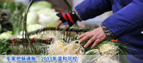 專(zhuān)家把脈通脹:2013年溫和可控