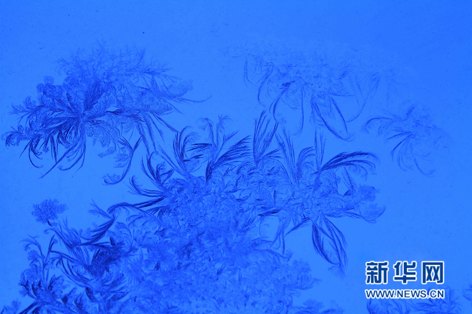 忽如一夜寒冬來(lái)，千家萬(wàn)戶(hù)窗花開(kāi)