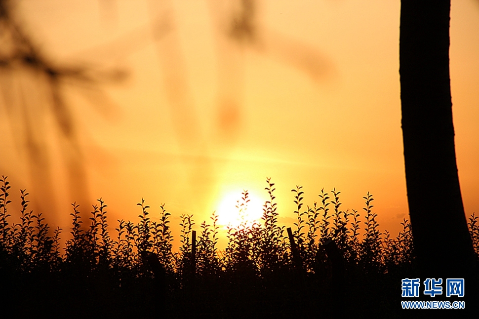 日落西山頭，人約黃昏后