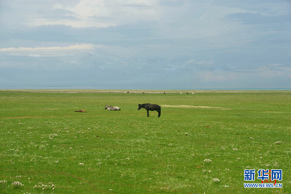 高原放歌之那山、那寺、那朵云