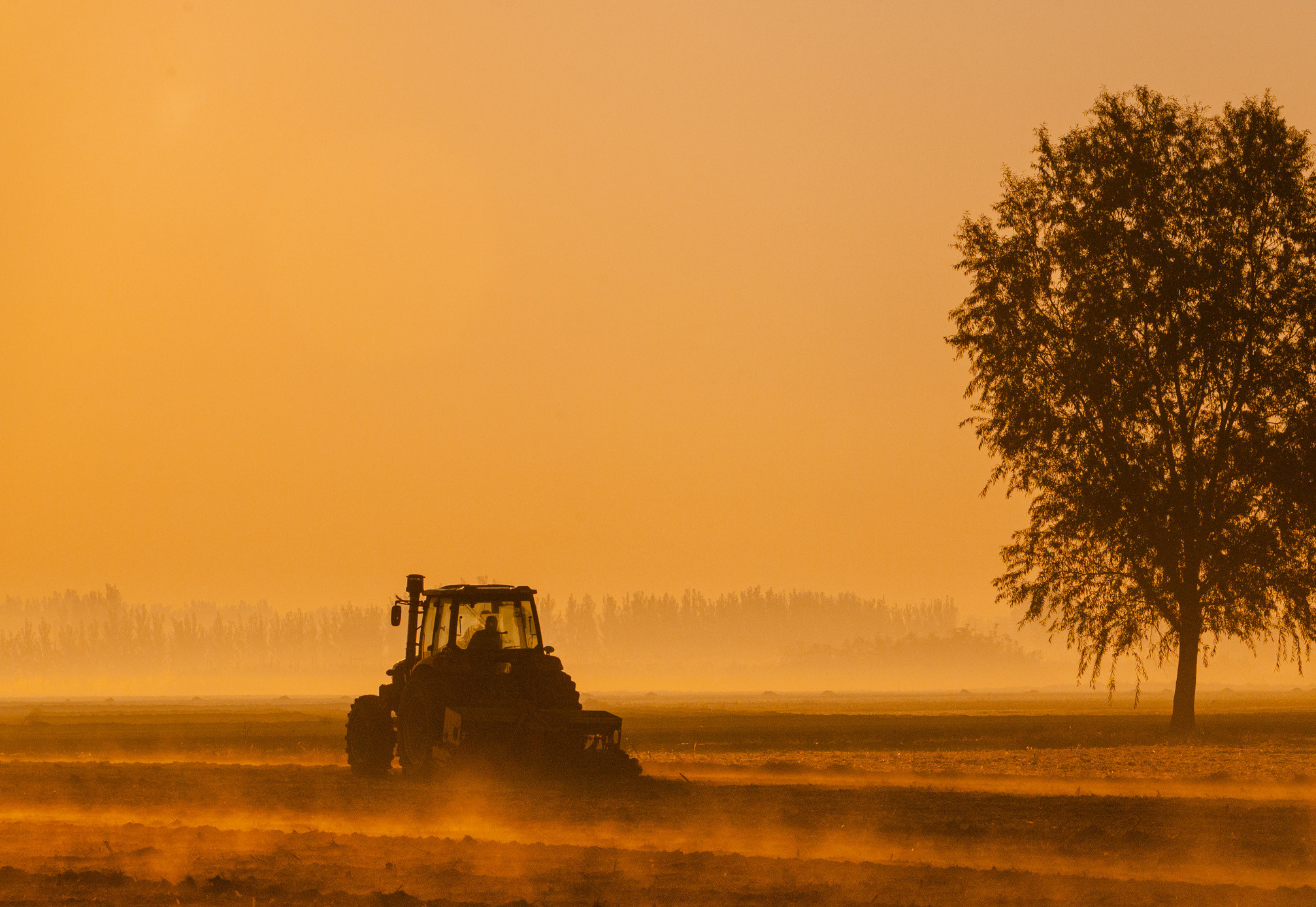 山東農(nóng)業(yè)信貸擔(dān)保公司繪就財金支農(nóng)惠農(nóng)“新畫卷”