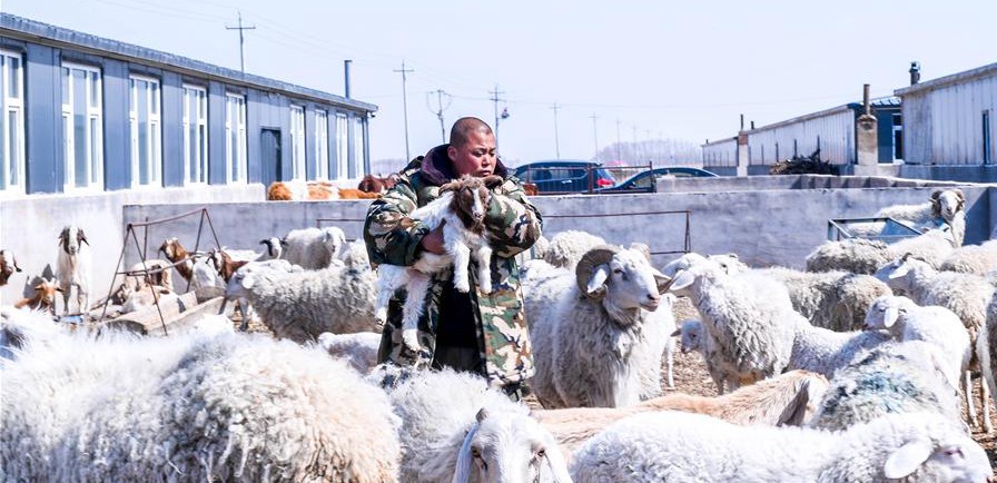 易地搬遷讓村民“住得好、能致富”