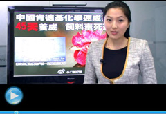 權(quán)威聲音：“快時代”究竟還有什么可以速成？