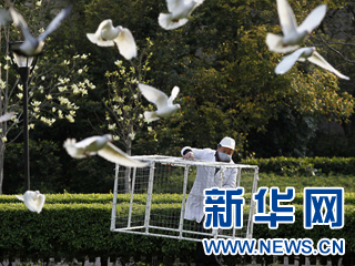 中國“狙擊禽流感”紀(jì)實