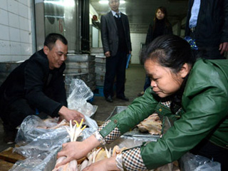 江西宰殺、冷凍積壓禽肉 緩解H7N9禽流感影響
