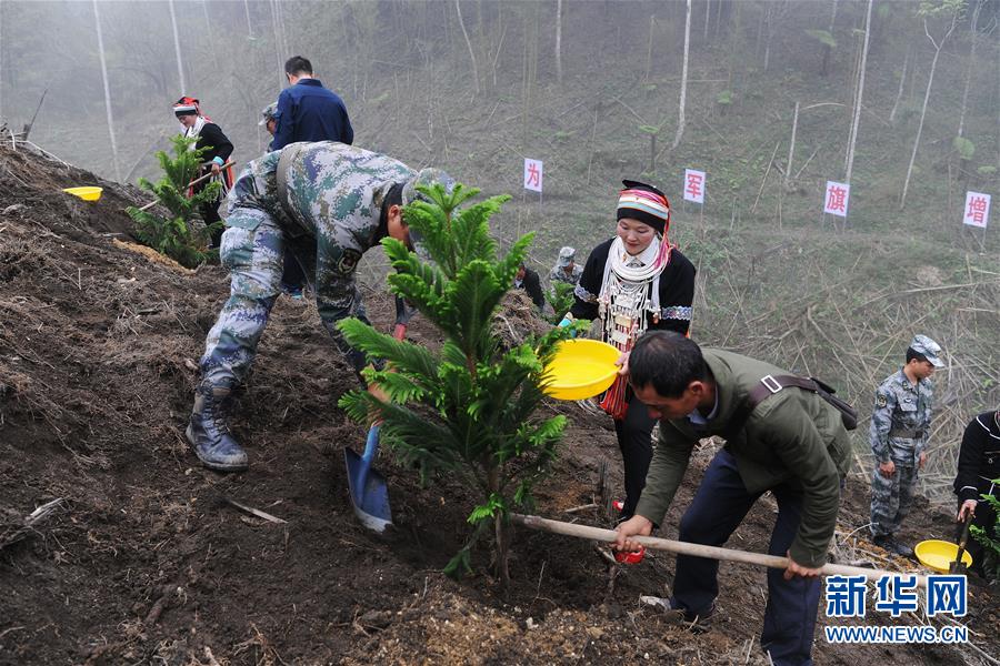 （圖文互動(dòng)）（6）和平年代，離死神最近的人——南部戰(zhàn)區(qū)陸軍云南掃雷大隊(duì)邊境掃雷排爆記事