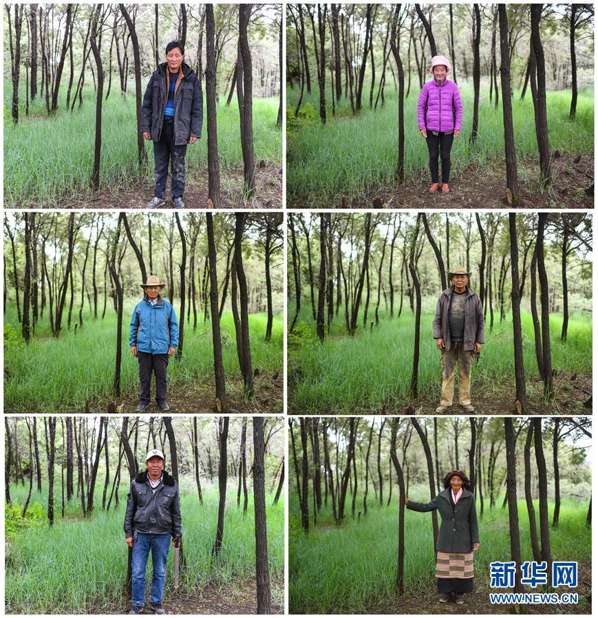（十九大·讀報告 話民生）（9）加快生態(tài)文明體制改革，建設(shè)美麗中國