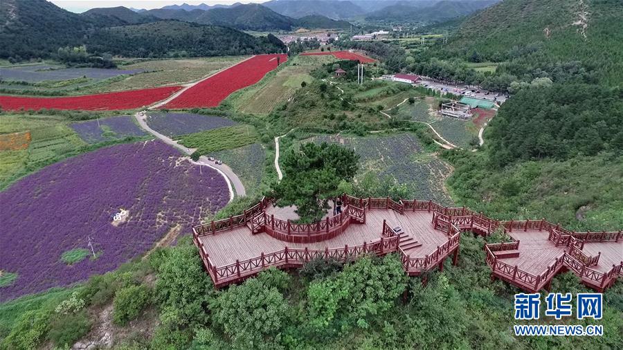 （十九大·讀報(bào)告 話民生）（10）加快生態(tài)文明體制改革，建設(shè)美麗中國(guó)