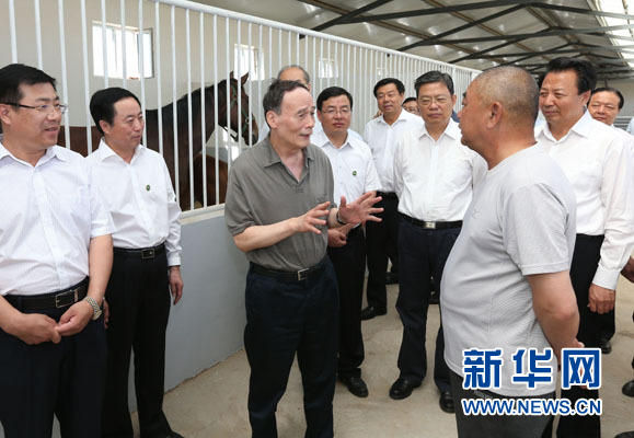 這是7月3日，王岐山在錫林浩特市義合良種馬繁育基地考察。新華社記者 龐興雷 攝