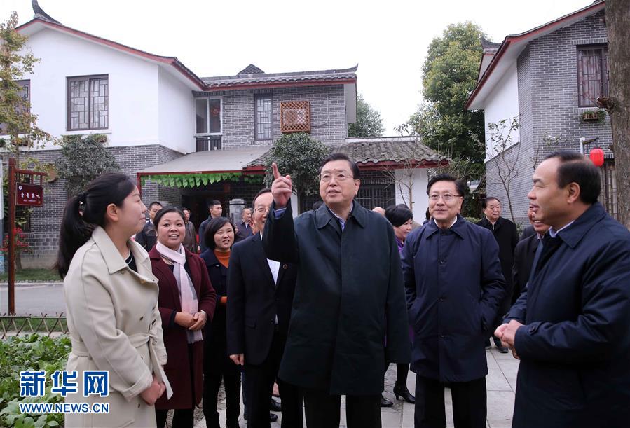 這是11月22日，張德江來(lái)到成都郫縣青杠樹(shù)村，了解村民委員會(huì)工作情況。 新華社記者 劉衛(wèi)兵 攝 