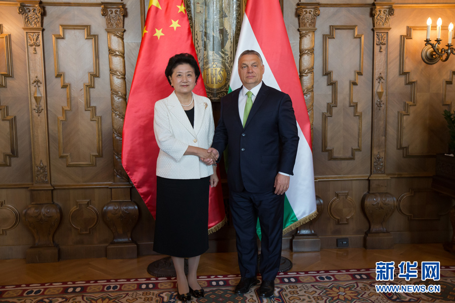  6月21日，國務(wù)院副總理劉延?xùn)|（左）在匈牙利布達(dá)佩斯國會(huì)大廈會(huì)見匈牙利總理歐爾班。 新華社發(fā)（弗爾季·奧蒂洛攝）