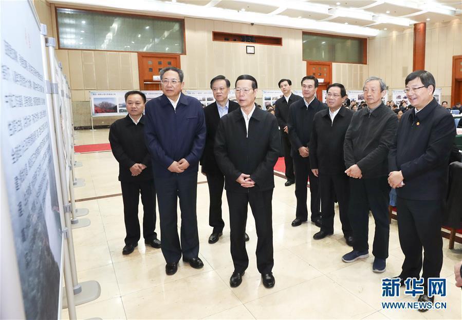 1月9日至10日，國(guó)務(wù)院副總理張高麗在安徽調(diào)研推動(dòng)長(zhǎng)江經(jīng)濟(jì)帶發(fā)展工作。這是1月10日，張高麗主持召開推動(dòng)長(zhǎng)江經(jīng)濟(jì)帶發(fā)展工作會(huì)議前聽取介紹。新華社記者 龐興雷 攝