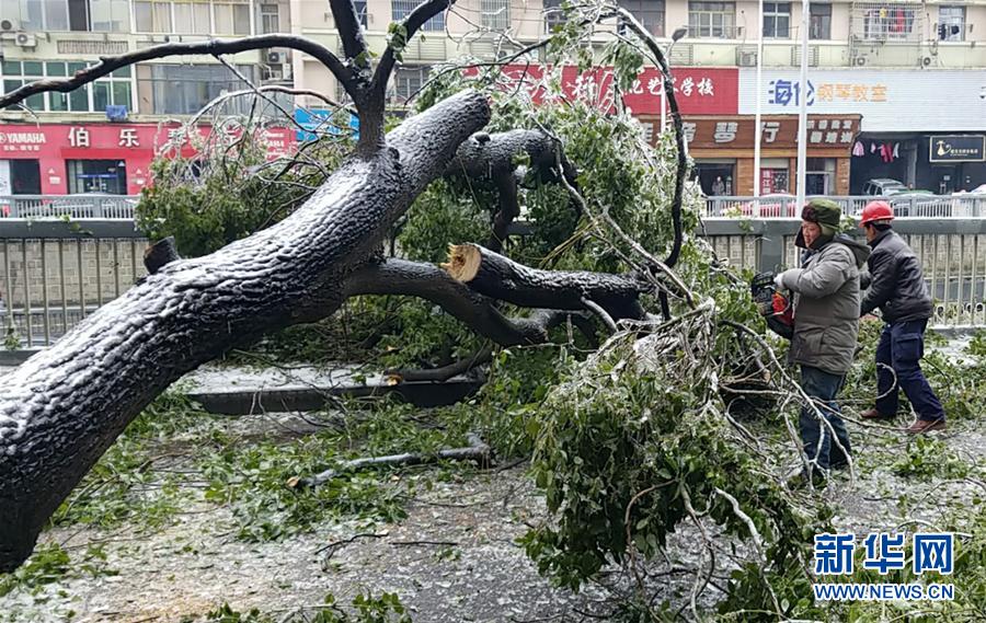 （新華全媒頭條）（7）雨雪冰凍中，他們奮力前行——基層黨員干群抗擊冰雪災(zāi)害紀(jì)實(shí)