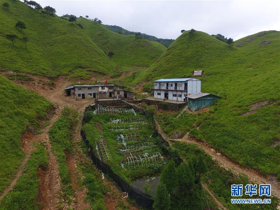 （新華全媒頭條·圖文互動）（3）一個人，一座山——劉真茂的生命守望
