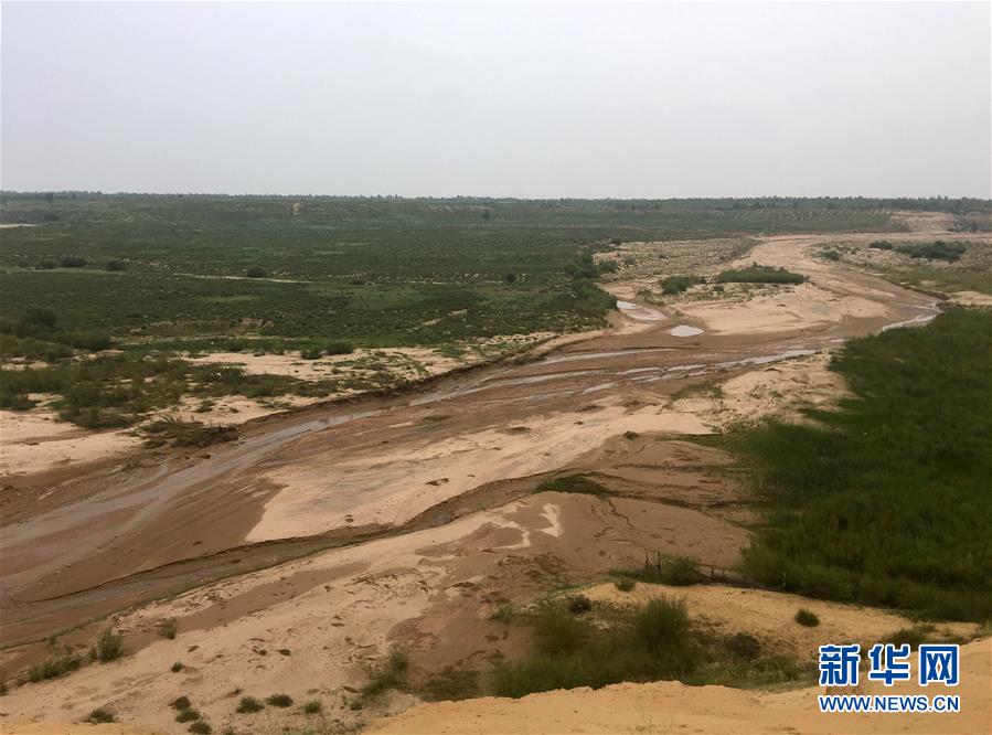 (新華全媒頭條·在習(xí)近平新時(shí)代中國(guó)特色社會(huì)主義思想指引下——新時(shí)代新作為新篇章·圖文互動(dòng))(5)綠富同興畫卷在沙海中鋪展——庫(kù)布其沙漠生態(tài)治理紀(jì)實(shí)