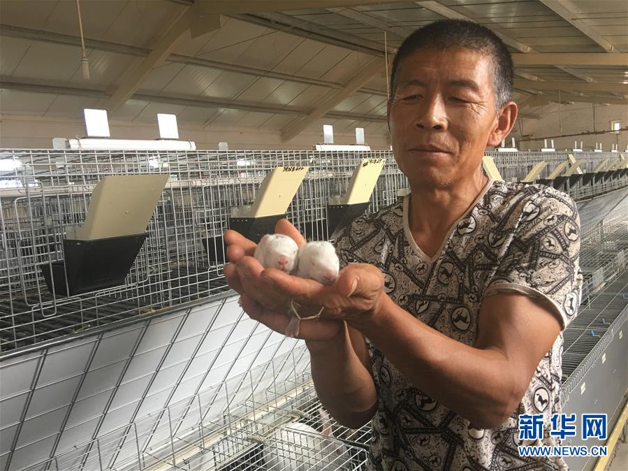 (新華全媒頭條·在習(xí)近平新時(shí)代中國(guó)特色社會(huì)主義思想指引下——新時(shí)代新作為新篇章·圖文互動(dòng))(10)綠富同興畫卷在沙海中鋪展——庫(kù)布其沙漠生態(tài)治理紀(jì)實(shí)