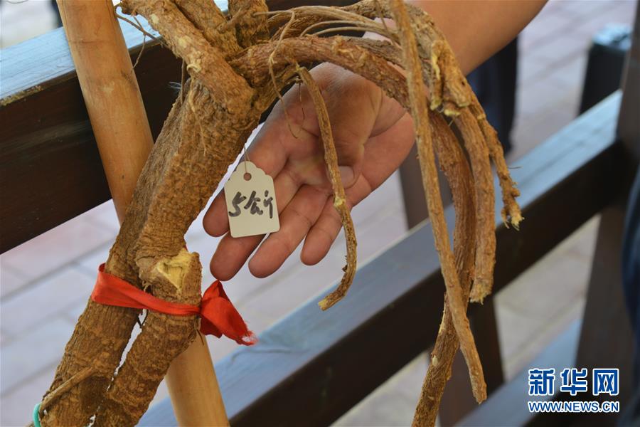 （在習(xí)近平新時(shí)代中國特色社會(huì)主義思想指引下——新時(shí)代新作為新篇章·圖文互動(dòng)）（2）庫布其競(jìng)相演繹“點(diǎn)沙成金”傳奇