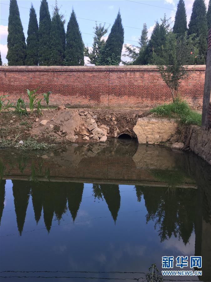 （新華視點(diǎn)·圖文互動(dòng)）（3）上游洪水來襲下游魚蟹死亡，泄洪為何變泄污？