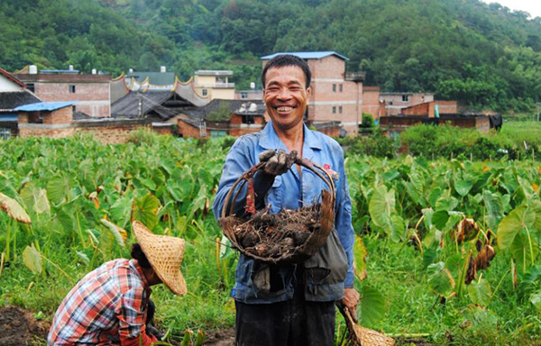 秋收的中國(guó)，你想象不到的美！但更美的是……