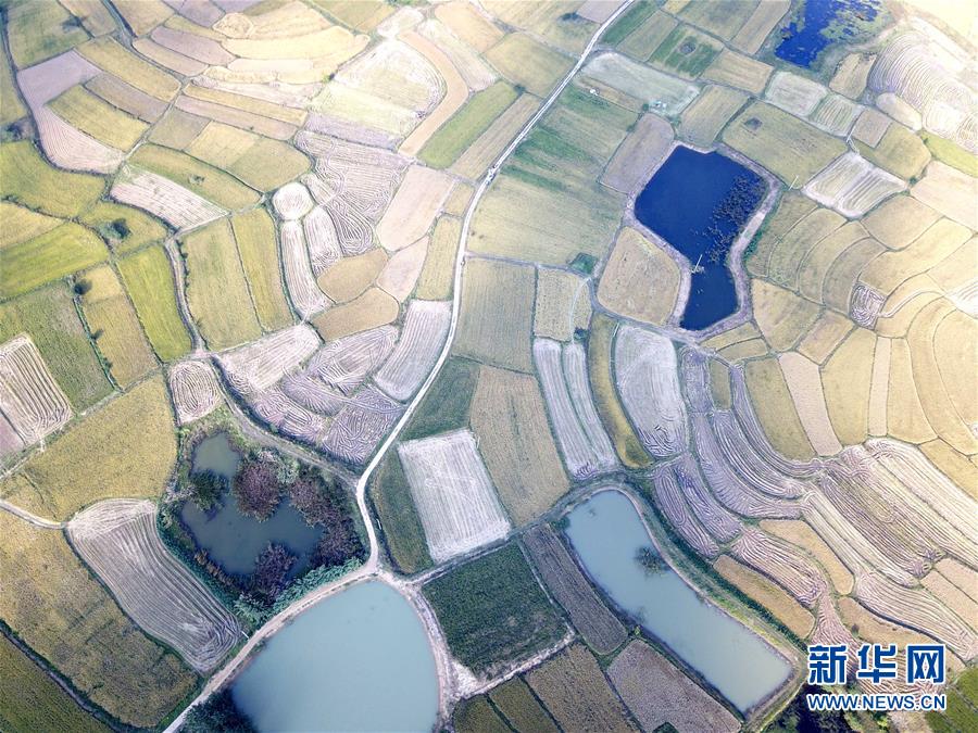 （新華全媒頭條·壯闊東方潮　奮進新時代——慶祝改革開放40年·圖文互動）（2）小崗，與時代同行——“中國農(nóng)村改革第一村”40年變遷的改革啟示