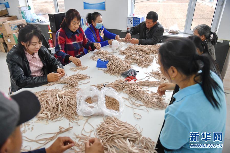 （在習(xí)近平新時代中國特色社會主義思想指引下——新時代新作為新篇章·圖文互動）（8）從資源枯竭城市到中國棉襪之鄉(xiāng)——吉林遼源念好民營經(jīng)濟(jì)“三字經(jīng)”