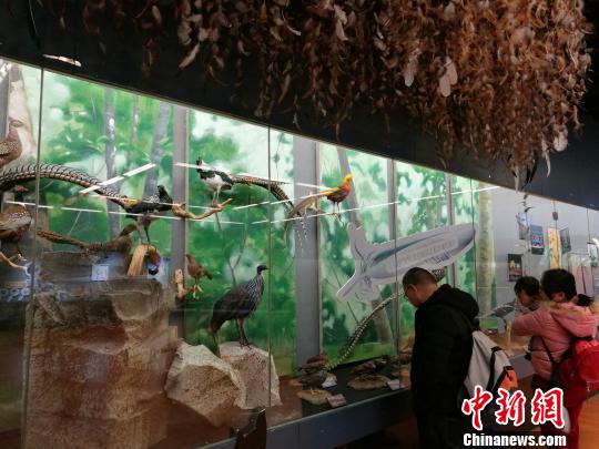 圖為展覽現(xiàn)場?！『h(yuǎn)航 攝