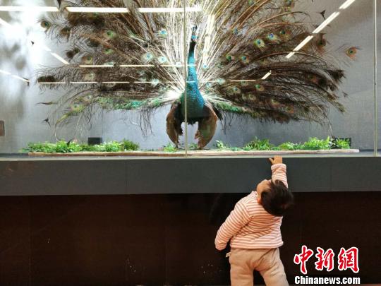 圖為展覽現(xiàn)場?！『h(yuǎn)航 攝
