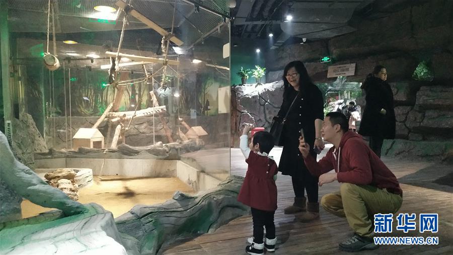 （新春走基層·圖文互動）（1）新疆“新年俗”：動物王國學(xué)知識 冰雪世界強身體