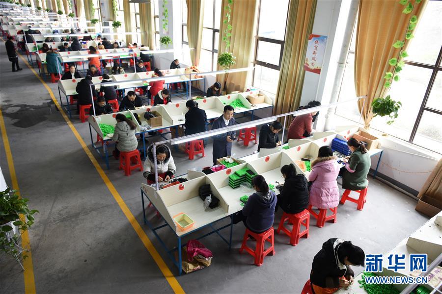 （在習(xí)近平新時(shí)代中國(guó)特色社會(huì)主義思想指引下——新時(shí)代新作為新篇章·圖文互動(dòng)）（5）“搬遷到哪里，服務(wù)就延伸到哪里”——貴州推進(jìn)易地扶貧搬遷“后半篇文章” 