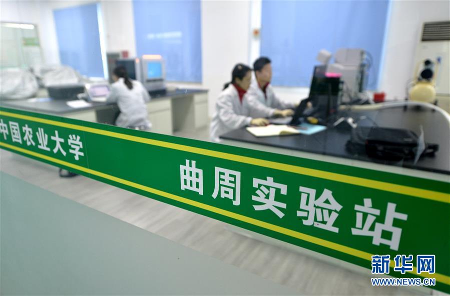 （愛國情 奮斗者·圖文互動）（3） “解民生之多艱，育天下之英才”——中國農大師生扎根田野書寫奉獻之歌