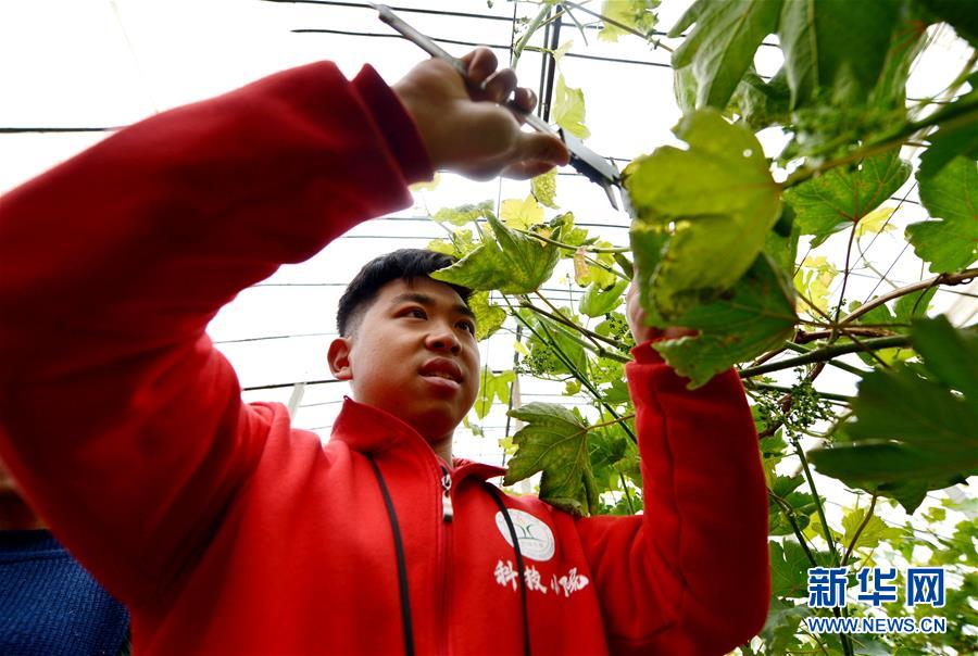 （愛國情 奮斗者·圖文互動）（8） “解民生之多艱，育天下之英才”——中國農大師生扎根田野書寫奉獻之歌