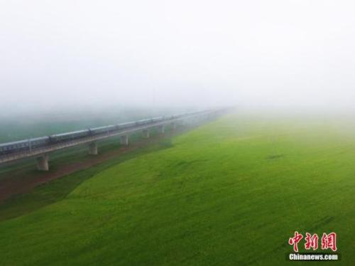 資料圖：動車組穿越雨霧中的油菜花海宛若穿越時空。 楊艷敏 攝
