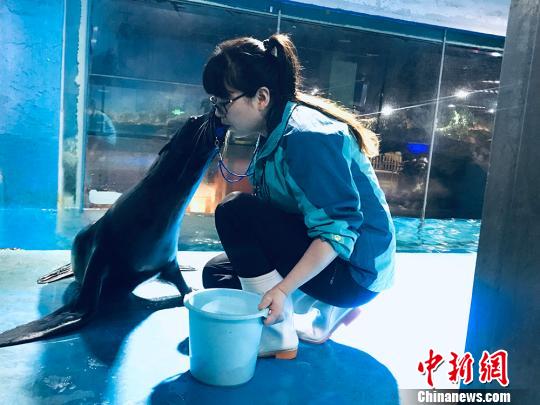 于雅麗與海獅親密瞬間?！“瑧c龍 攝