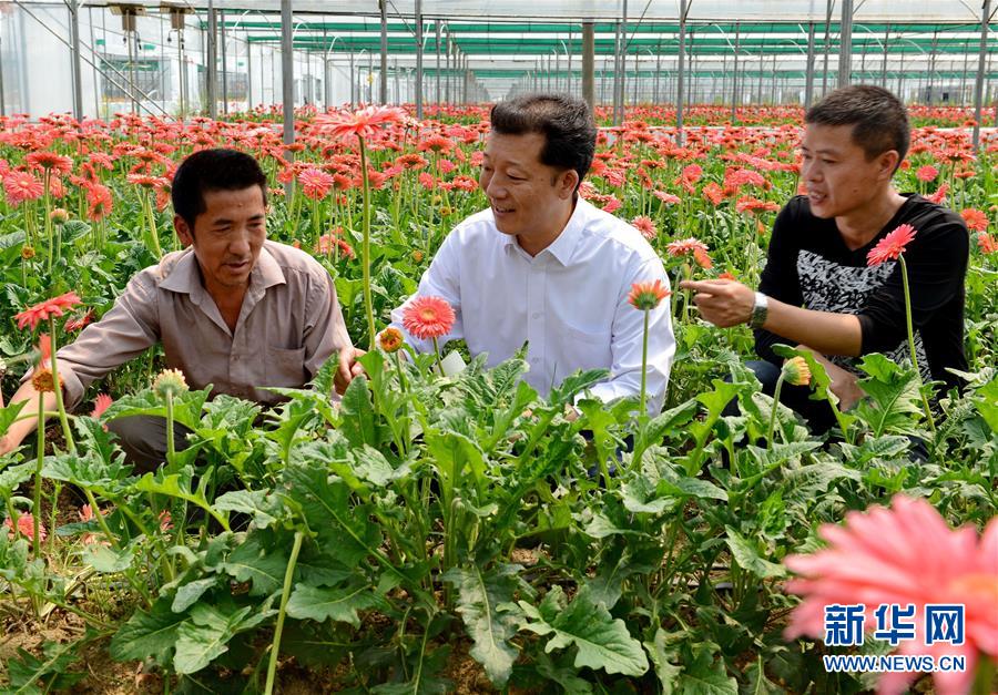 （新華全媒頭條·圖文互動）（6）鍛造領(lǐng)航復(fù)興的中流砥柱——寫在“不忘初心、牢記使命”主題教育即將啟動之際