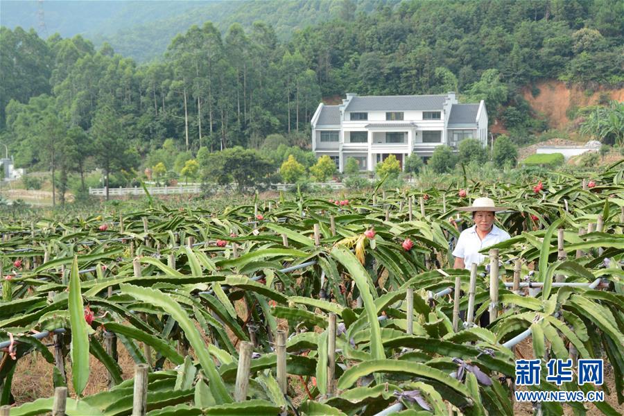 （在習(xí)近平新時(shí)代中國(guó)特色社會(huì)主義思想指引下——新時(shí)代新作為新篇章·總書記關(guān)心的百姓身邊事·圖文互動(dòng)）（6）大污染變身“大寶藏”：治理畜禽糞污，他們這樣干！