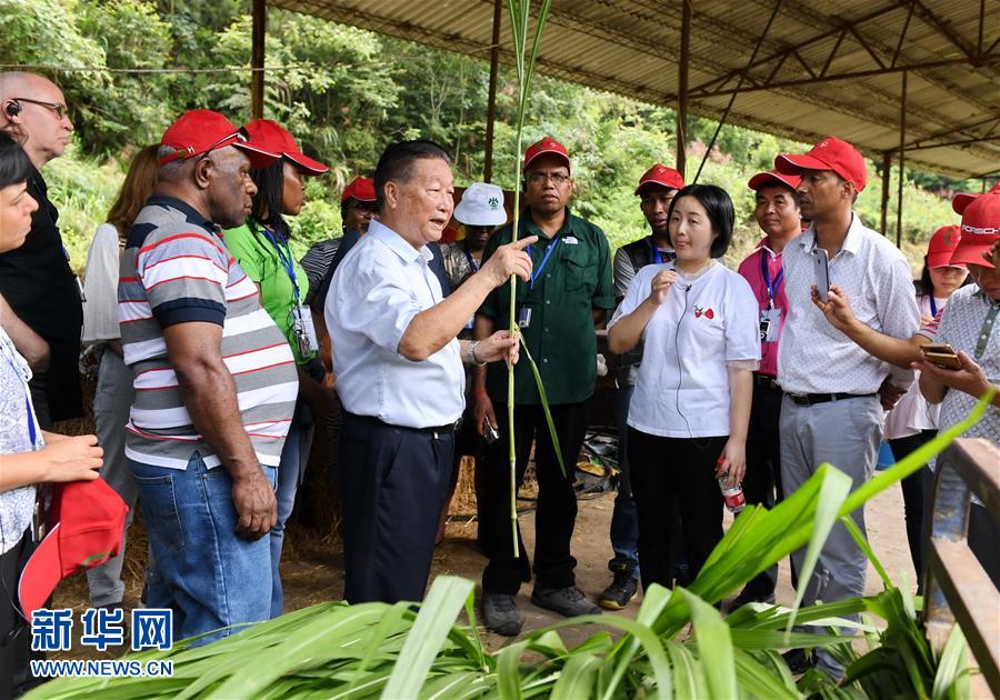 （不忘初心、牢記使命·圖文互動）（5）拳拳寸草心 濃濃報國情——記“菌草之父”林占熺