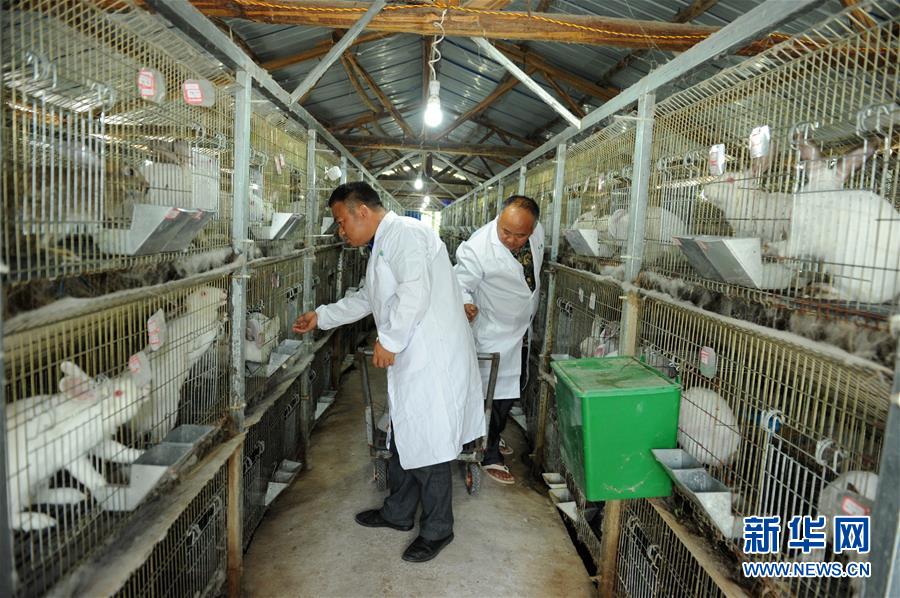 （新華全媒頭條·圖文互動）（4）干部去哪兒了？——貴州干部大規(guī)模下沉脫貧攻堅一線紀(jì)實(shí)