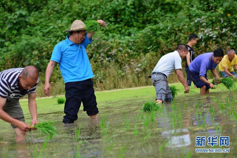 （新華全媒頭條·圖文互動）（8）干部去哪兒了？——貴州干部大規(guī)模下沉脫貧攻堅一線紀(jì)實(shí)
