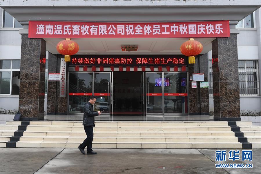 （在習(xí)近平新時(shí)代中國特色社會(huì)主義思想指引下——新時(shí)代新作為新篇章·總書記關(guān)切高質(zhì)量發(fā)展·圖文互動(dòng)）（1）穩(wěn)住“一頭豬”、供好“一袋米”、配好“一籃菜