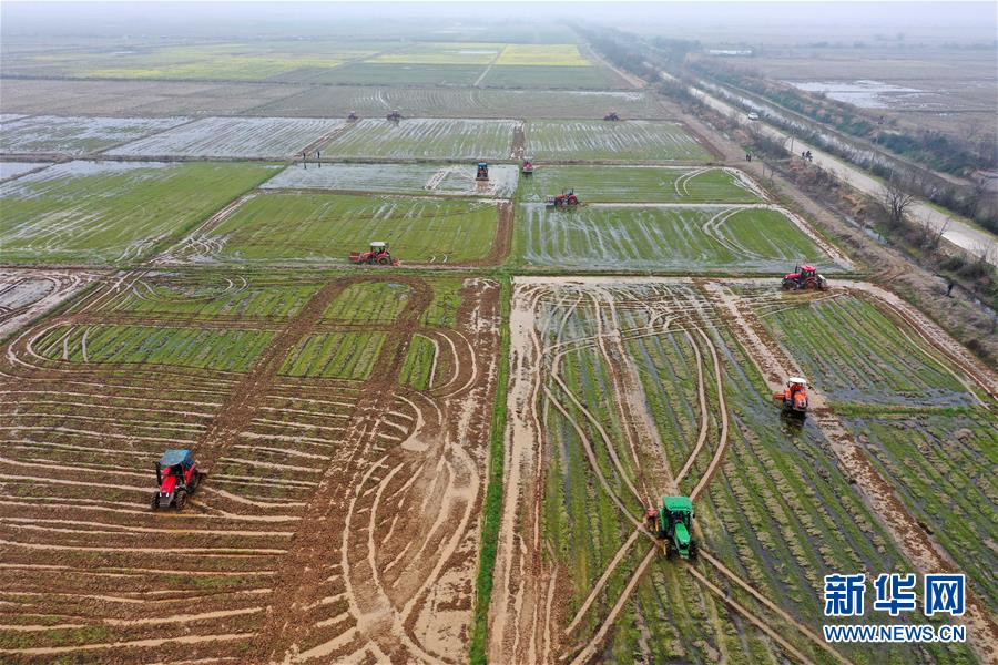 （抓好春耕備耕 穩(wěn)住農(nóng)業(yè)生產(chǎn)·圖文互動(dòng)）（2）智能農(nóng)機(jī)、“訂單”服務(wù)、“云端”種菜——來(lái)自江西的春耕“新事”