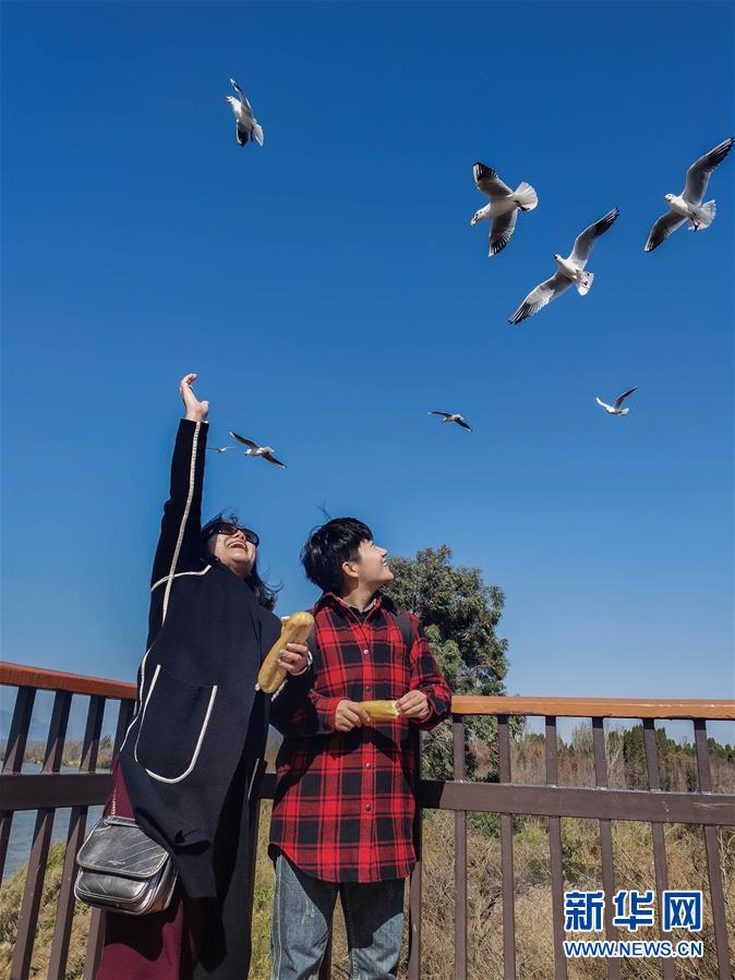 （一線抗疫群英譜·圖文互動(dòng)）（1）大學(xué)生志愿者譚藝西：在武漢，我和媽媽共戰(zhàn)“疫”