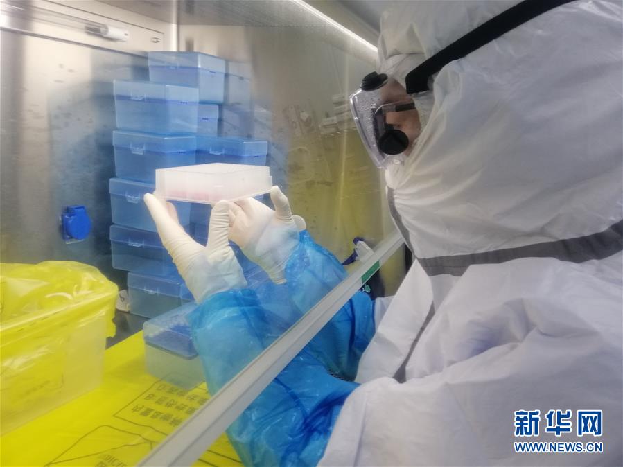 （一線抗疫群英譜·圖文互動）（2）“95后”大學生郝鶯歌：退掉車票，她選擇直面病毒