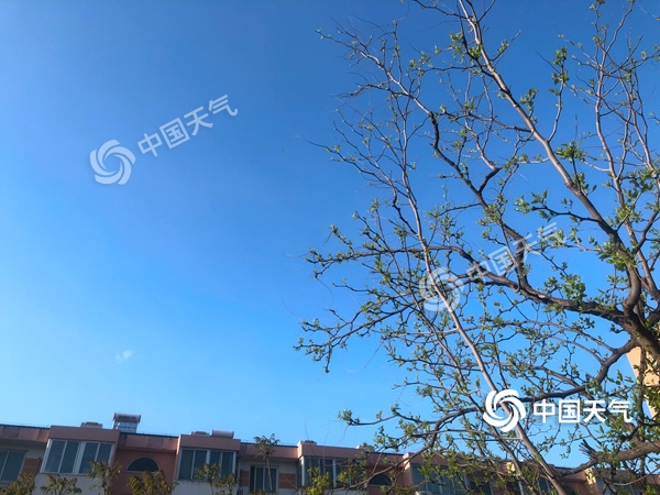 陣風(fēng)8級(jí)！北京遭遇雨后大降溫 北風(fēng)勁吹需添衣