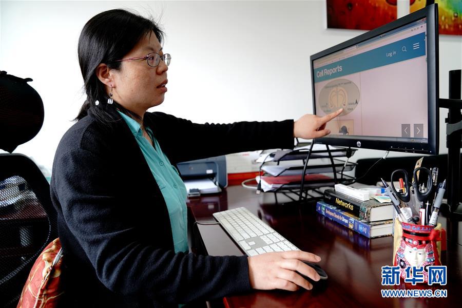 （圖文互動）（1）攻擊行為如何被大腦控制？科學家在小鼠大腦中發(fā)現(xiàn)“調(diào)節(jié)開關(guān)”