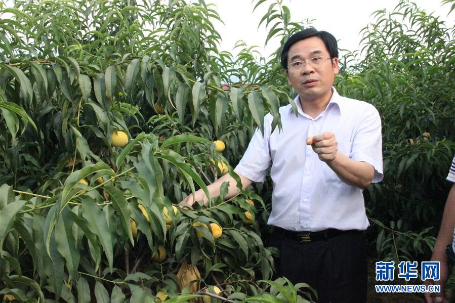 （圖文互動(dòng)）（2）“為脫貧而來，為脫貧而去”——追記湖南炎陵縣委原書記黃詩燕 