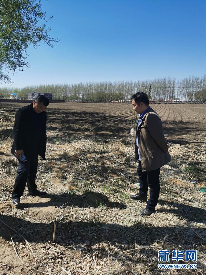 （在習近平新時代中國特色社會主義思想指引下——新時代新作為新篇章·習近平總書記關切事·圖文互動）（3）青春的顏色是什么？